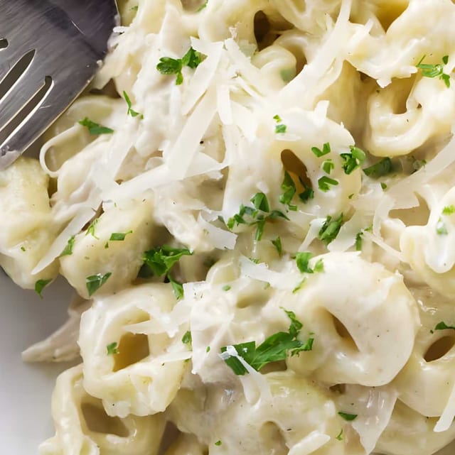 Cheese Tortellini Alfredo.